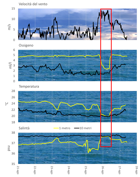 Fig. 2: Serie temporale di velocità del vento (m/s), ossigeno disciolto (ml/l), temperatura del mare (°C) e salinità (psu) rilevati nel periodo 21/8/2015 – 27/8/2015 dalla boa meteo – oceanografica MAMBO.